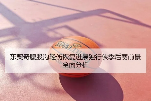 东契奇腹股沟轻伤恢复进展独行侠季后赛前景全面分析